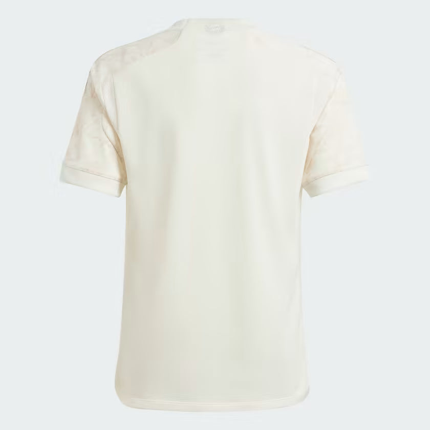 Bayern Munich Third kit 23/24