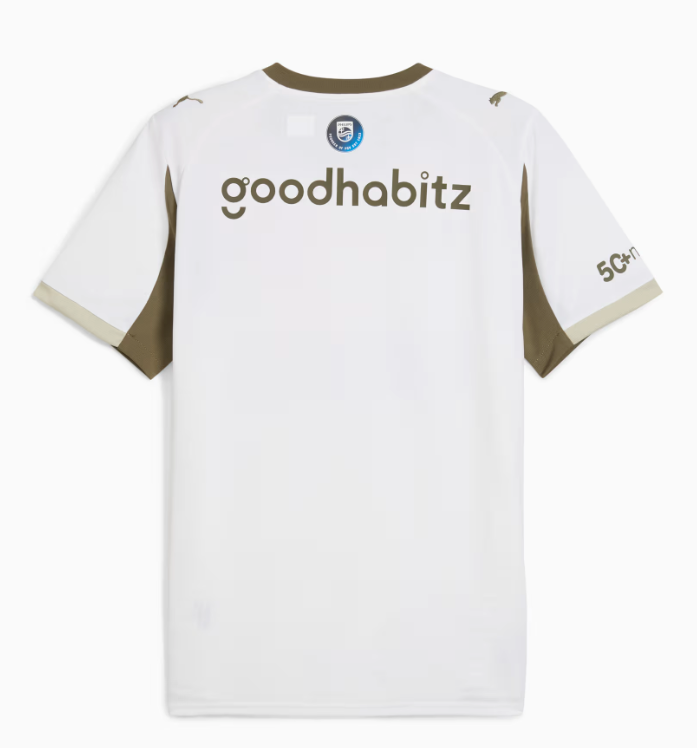 PSV Eindhoven 25/26 Third Jersey Men